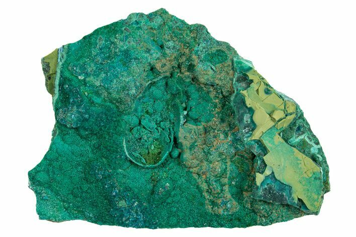 Teal Botryoidal Chrysocolla and Malachite - Chile #310127